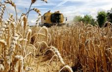 ISU Botoșani: Campanie de recoltare a cerealelor fără incendii!