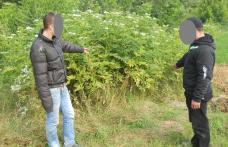 Focuri de armă la frontiera cu Moldova pentru reţinerea unor contrabandişti - FOTO