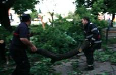Pompierii intervin pentru înlăturarea efectelor produse de fenomenele meteorologice periculoase