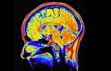 Cele mai eficiente metode să vă „ascuţiţi” mintea şi să preveniţi pierderile de memorie