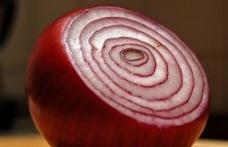 Alte întrebuinţări ne-alimentare ale cepei