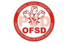 Femeile social-democrate îşi aleg astăzi noua conducere. Vezi lista candidaților!