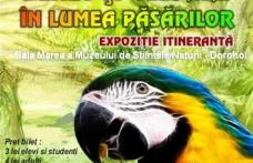 „Sunet şi culoare în lumea păsărilor” la Secţia de Ştiinţele Naturii Dorohoi