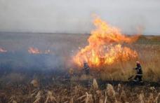Căruță cu furaje incendiată intenționat de un tânăr din Dorohoi
