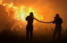 Tone de furaje distruse într-un incendiu provocat în mod intenționat
