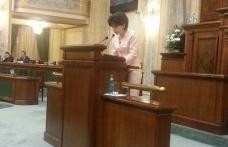 Doina Federovici: „Programul de garantare a creditelor pentru întreprinderi mici și mijlocii va avea  un impact benefic asupra mediului de afaceri”