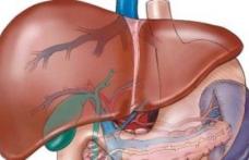 Câteva soluții despre cum îți regenerezi ficatul