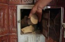 DAS Dorohoi: Informații privind ajutoarele de încălzire cu lemne, cărbuni şi combustibili petrolieri 