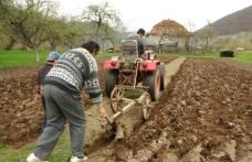 Fermierii vor primi până pe 15 februarie toți banii necesari înființării culturilor de primăvară