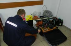Doi tineri reținuți de jandarmi după ce au furat benzină din mai multe autoturisme