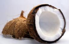 Nuca de cocos protejează ficatul de efectele alcoolului şi întăreşte sistemul imunitar