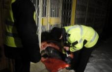 Persoane fără adăpost, depistate de poliţişti şi conduse în Centrul de urgenţă 