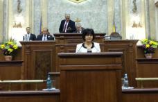 Senator Doina Federovici: Interpelare adresată Ministrului Muncii privind măsurile de protecție socială în perioada sezonului rece 