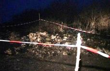 Descoperire macabră la Suharău. Zeci de leşuri de cai la marginea unui drum comunal 