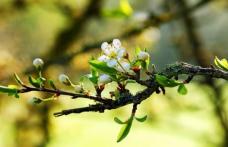 Prognoza meteo pentru trei zile. Cu ce vreme începe săptămâna
