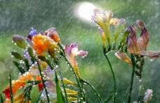 Vremea de Florii. Prognoza meteo pe trei zile!