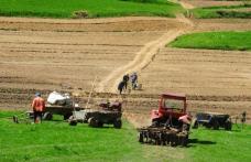 Legea terenurilor agricole a intrat în vigoare. Cum poţi vinde sau cumpăra un teren