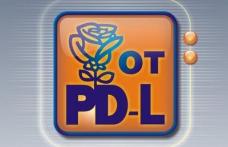 Tineretul PDL-ist in febra alegerilor