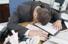 85% din romani, preocupati de munca si in timpul liber