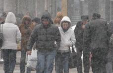 Vântul puternic face ravagii în judeţ
