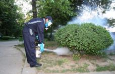 Isteria căpușelor. Câte poartă microbul care provoacă boala Lyme