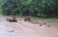 Case inundate şi oameni evacuaţi! Prăpăd într-o comună din județul Botoșani după o rupere de nori