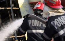 19 misiuni ale pompierilor botoșăneni în ultimele 24 de ore