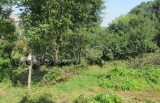 Parcul Cholet se extinde! Dorin Alexandrescu: „Va fi o zonă verde, de prelungire a parcului” - FOTO