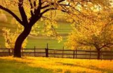 Prognoza meteo pe trei zile! Sigur vrei să afli dacă va mai fi cald