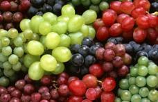 Strugurii, armă anticancer şi antiîmbătrânire. Iată ce alte beneficii mai au