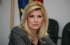 Elena Udrea: „Iohannis pune presiune pe Justiție”