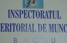 Inspectori din cadrul ITM Botoșani participanți la un simpozion organizat la Bacău