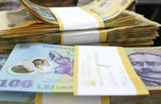 Agricultorii vor primi integral plata pe suprafaţă, începând cu 1 decembrie