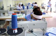 Societate comercială sancționată pentru muncă „la negru”