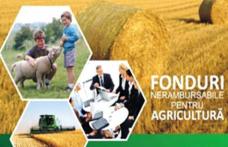 În perioada 28 noiembrie 2014-16 ianuarie 2015, pot fi solicitate fonduri nerambursabile pentru înființarea grupurilor de producători