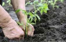Anunț lansare apel de selecție nr. 9 pentru Măsura 411.42 „Înființarea grupurilor de producători”