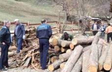 Polițiștii botoșăneni au aplicat amenzi de peste 19 mii lei, în urma acțiunii „Scutul Pădurii 2015”