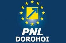 PNL Dorohoi: Vot împotriva lui Mihai Țurcanu pentru șefia partidului