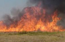 Șase hectare din împădurirea abia plantată pe Dealul Polonic din Dorohoi, mistuite de flăcări în prima zi de Paște