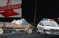 S-a urcat băut la volan și a spulberat o căruță de pe șosea