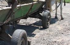 Minoră agăţată şi târâtă de o căruţă, la Hilişeu Horia