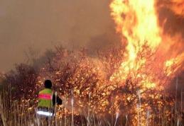 Început de aprilie incendiar pentru pompierii botoșăneni