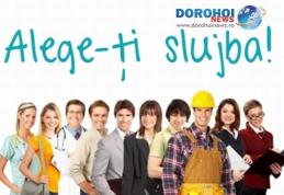 Locuri de muncă vacante anunţate de AJOFM Botoşani! Pentru Dorohoi doar un post cu studii medii 