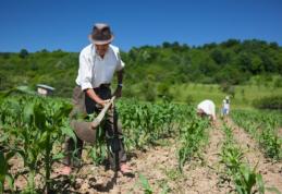 Declaraţie politică a deputatului Costel Şoptică: „Fermierii pierd timp și bani”