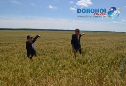 Doi cetăţeni din R. Moldova  opriţi din drumul spre Italia