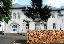 Liceul Teoretic „Anastasie Bașotă” organizează licitație de vânzare masă lemnoasă fasonată, specia gorun