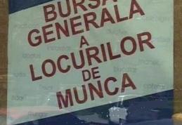 59 locuri de muncă pentru șomerii dorohoieni 
