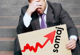 Peste 300 de șomeri înregistrați la AJOFM Dorohoi. Vezi statistica pe județ!