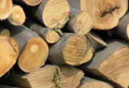 Material lemnos confiscat de polițiștii dorohoieni