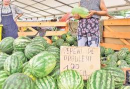 Cum încearcă comercianţii să vândă pepeni de Dăbuleni falşi. Primarul din Dăbuleni face dezvăluiri